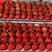 丹东精品大红颜草莓，快递精品货，欢迎各地客商前来选购