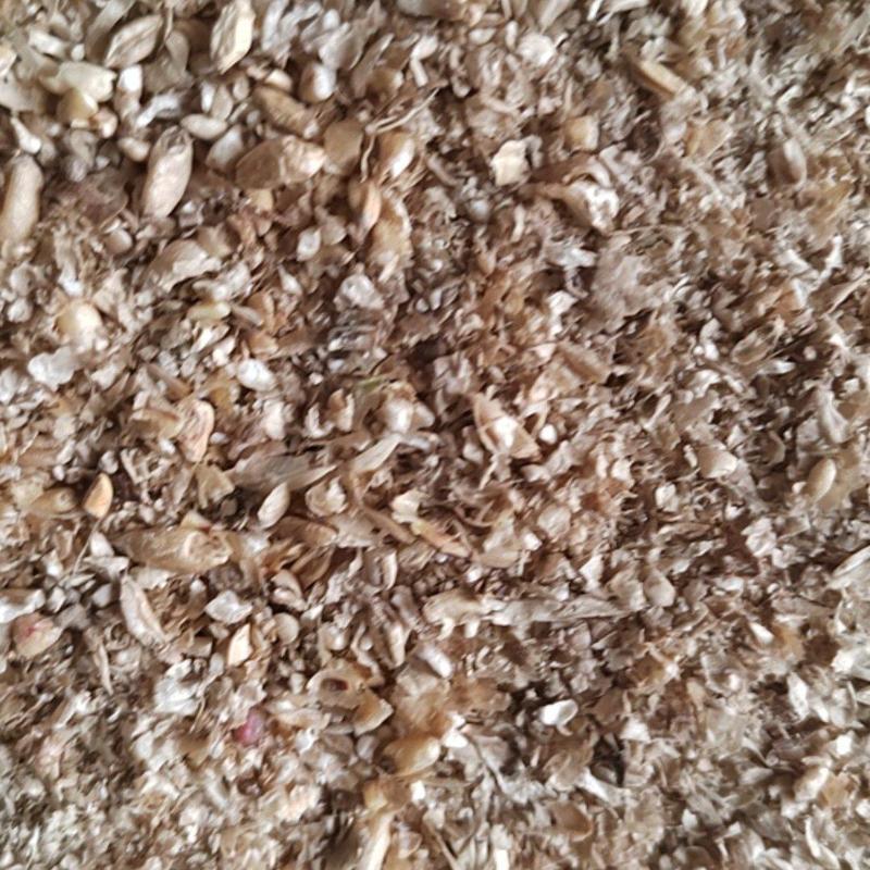 面粉厂出来的麦皮，碎麦，无土无沙，无霉变，适合各种养殖！