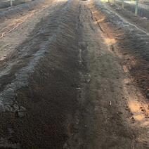 蚯蚓粪厂家直发生物有机肥料改良土壤、强壮作物