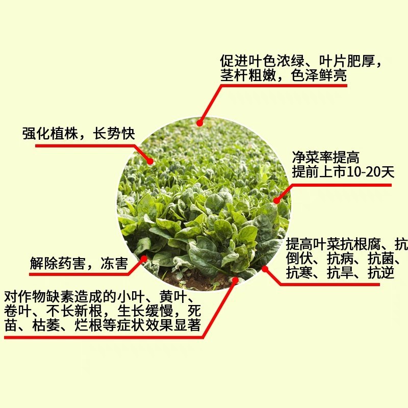 甜翠叶面肥氨基酸水溶性肥料