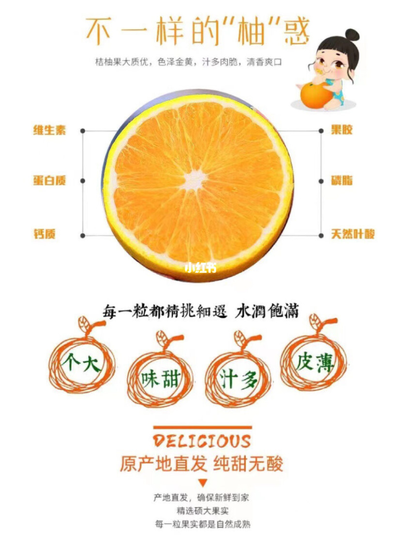 【福建】仙游桔柚大量上市中产地货源直发量大价优欢迎合作