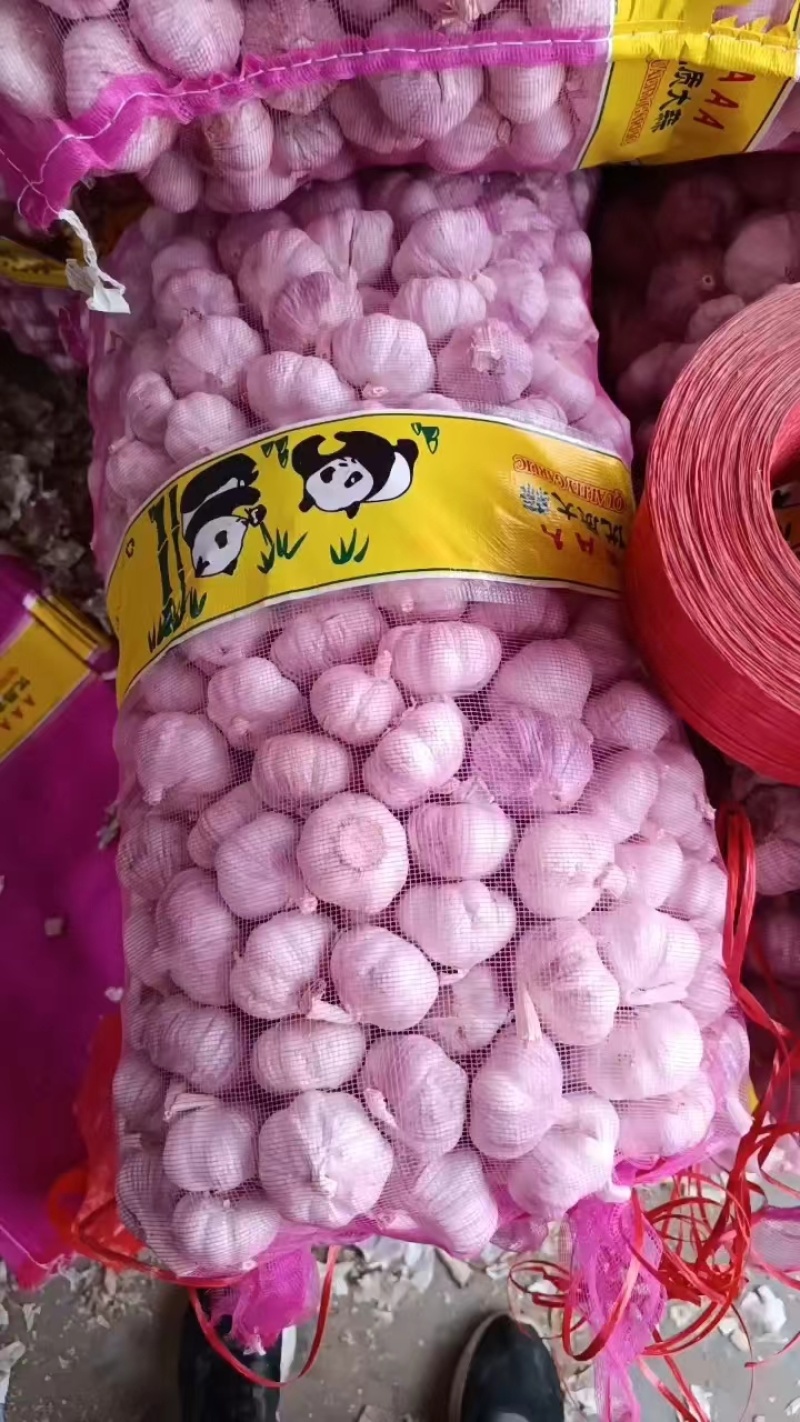 精品新大蒜金乡本地大蒜支持全国发货，可视频欢迎咨询，