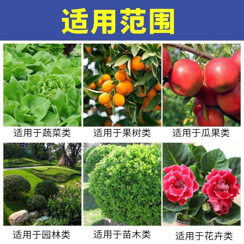 增威赢特60.6%氟噻唑吡乙酮代森锰锌黄瓜霜霉病晚疫病农