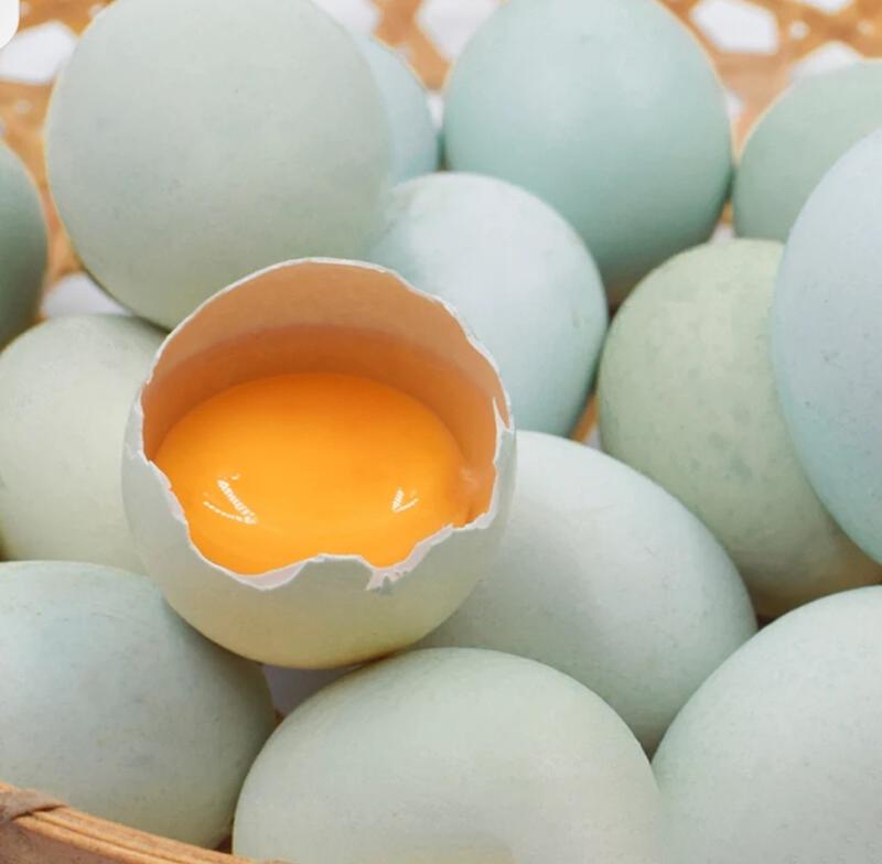 绿壳鸡蛋，自己家的养殖场直销，营养丰富，现捡现发