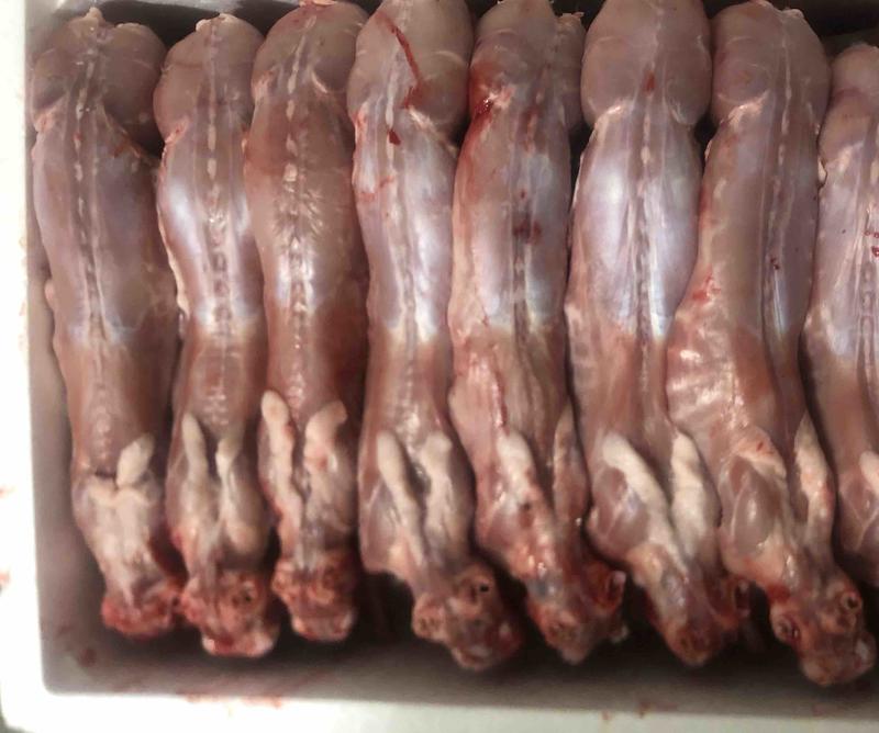新鲜现杀兔肉全年不断干净卫生承接餐饮加工