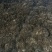 海带干海带散海带福建海带山东海带无黄叶肉厚产地直发