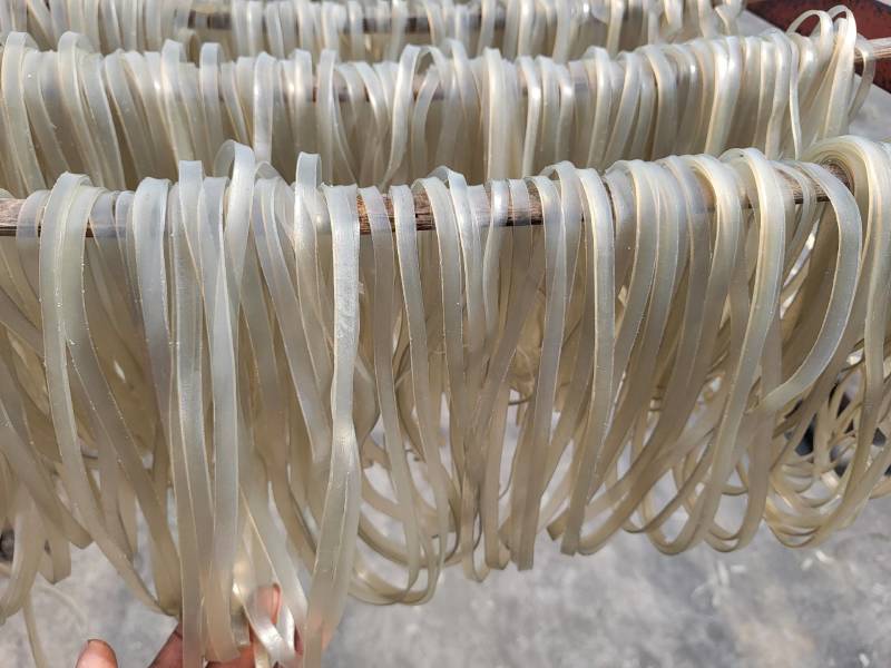 全熟粉丝包邮大量供应小麦玉米大米红薯土豆木薯