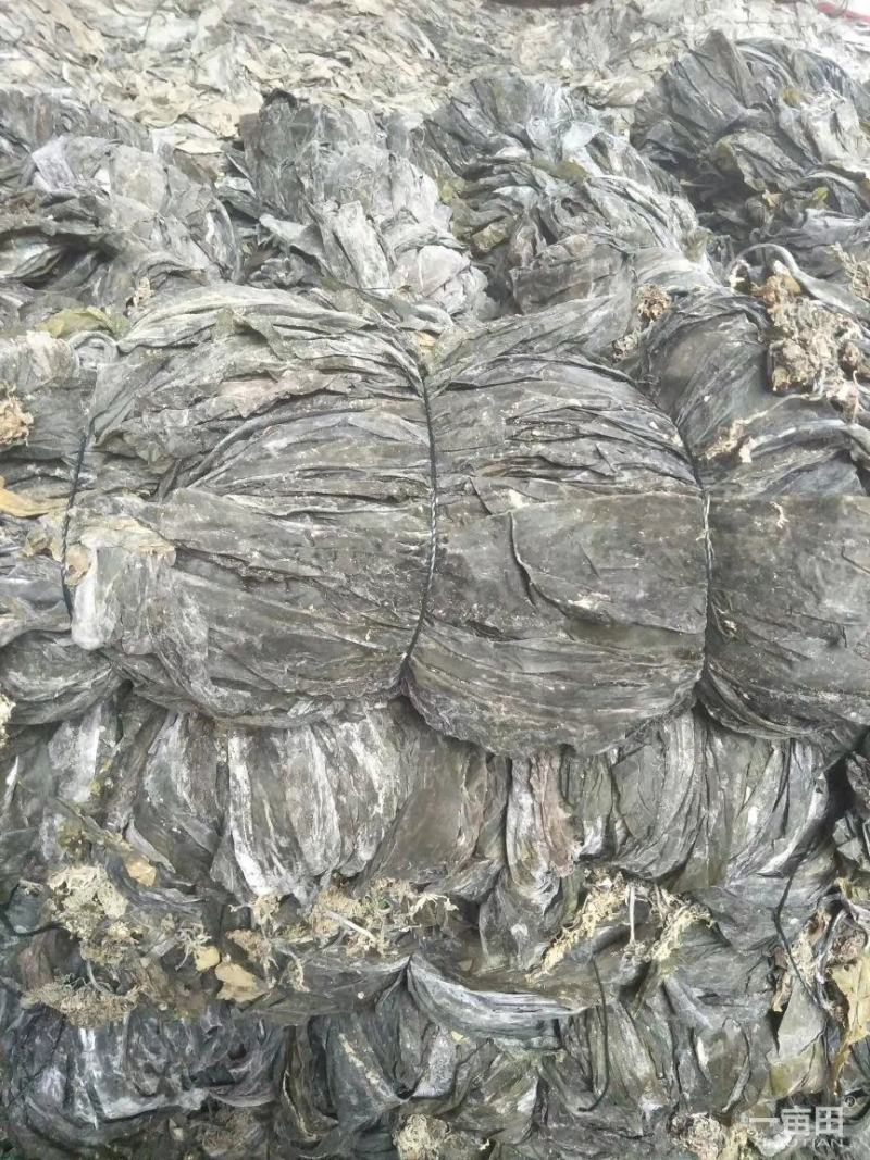 干海带散菜海带无沙海带海带片短板菜长板菜产地直接发货