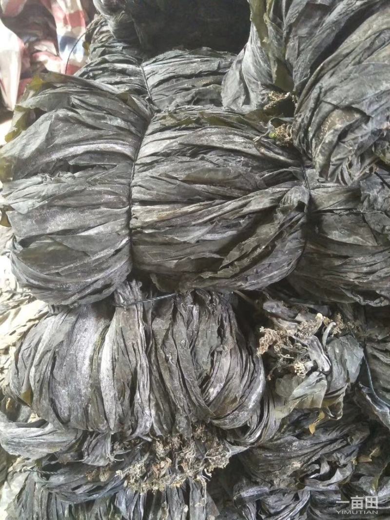 干海带散菜海带无沙海带海带片短板菜长板菜产地直接发货