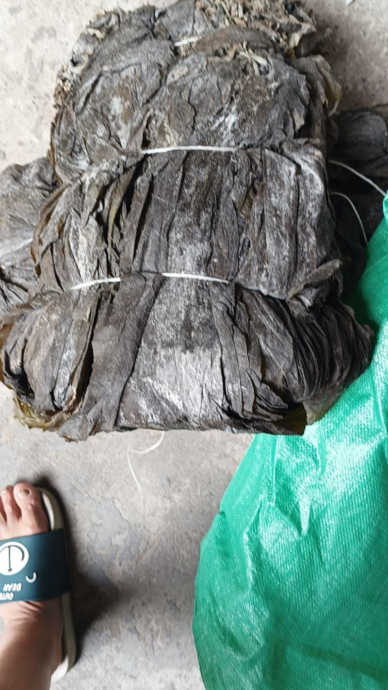 干海带散菜海带无沙海带海带片短板菜长板菜产地直接发货