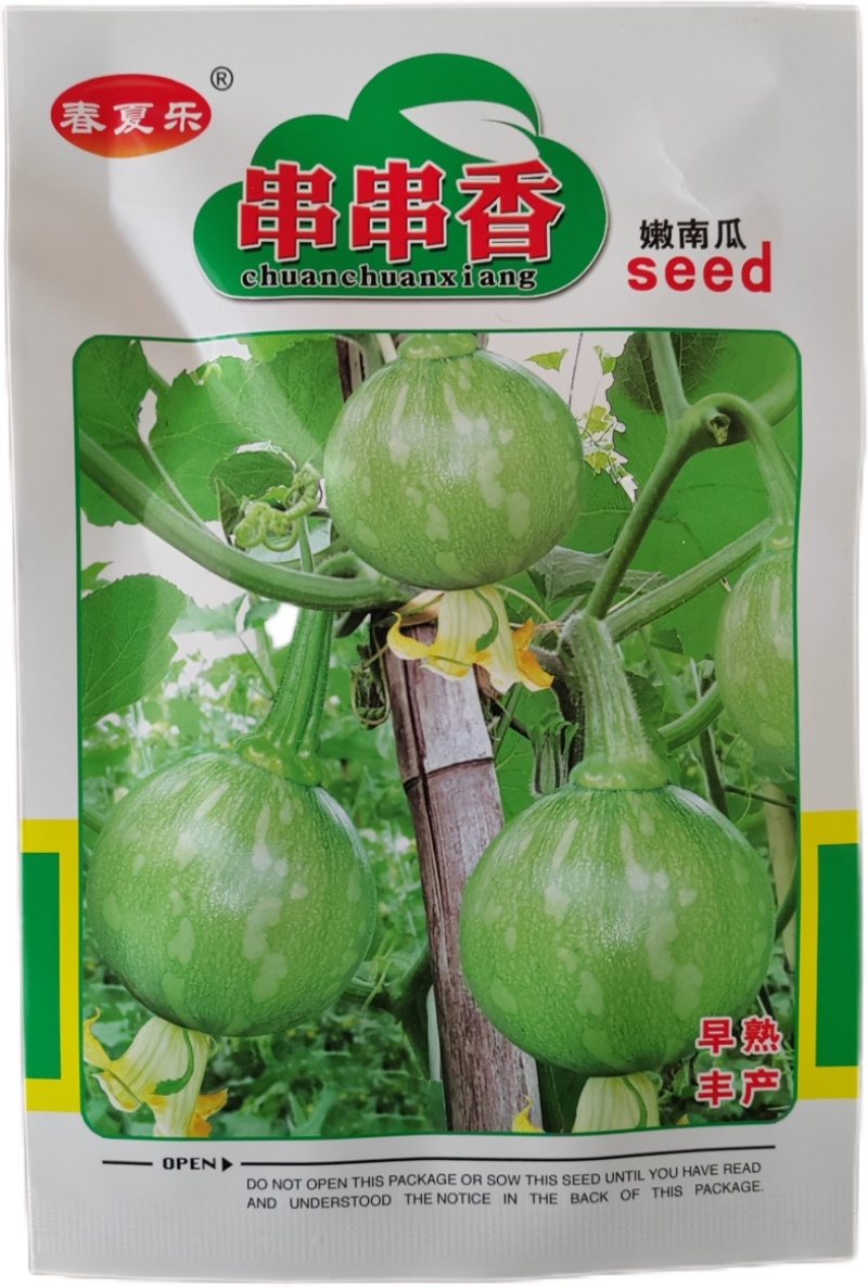【早熟一串铃】早熟嫩南瓜种子一串铃南瓜花皮小南瓜种子