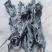 海带头25-30cm