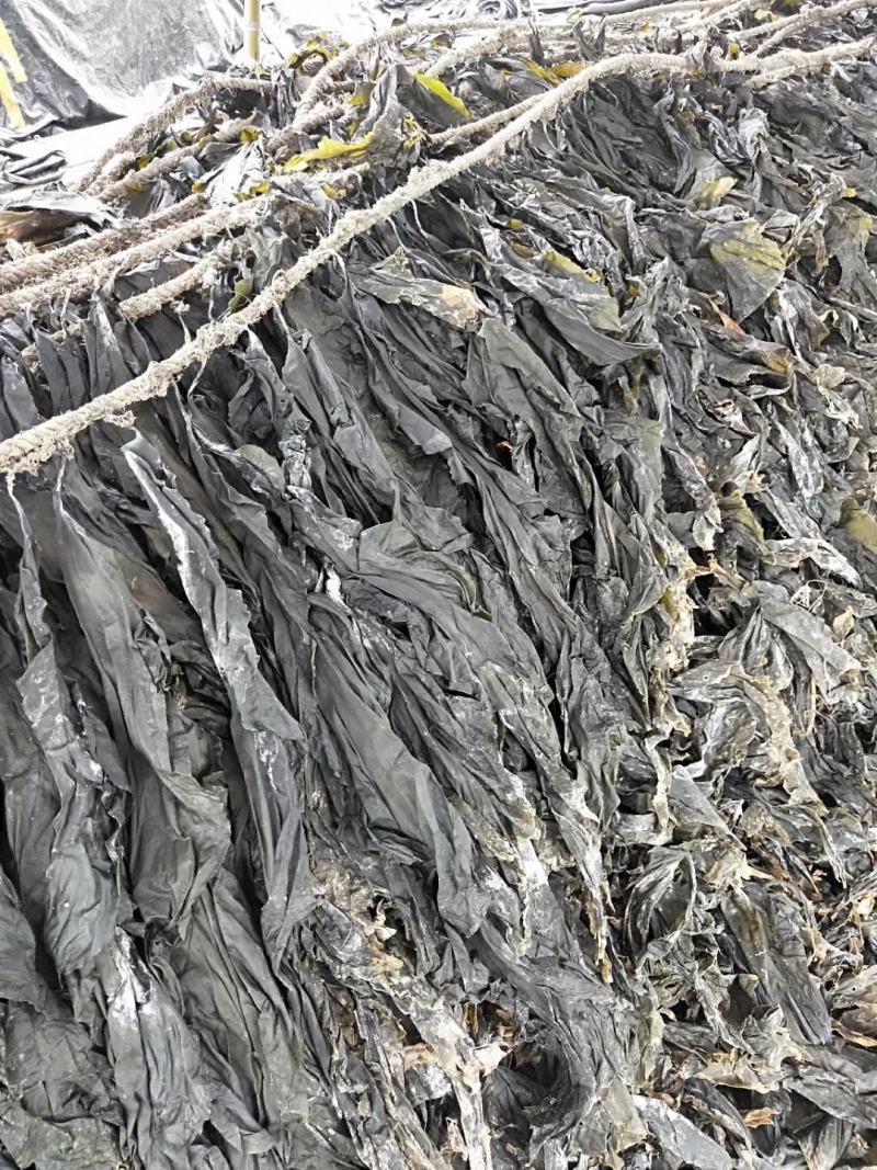 干海带无沙挂菜海带散菜海带海带干海带皮产地直接发货