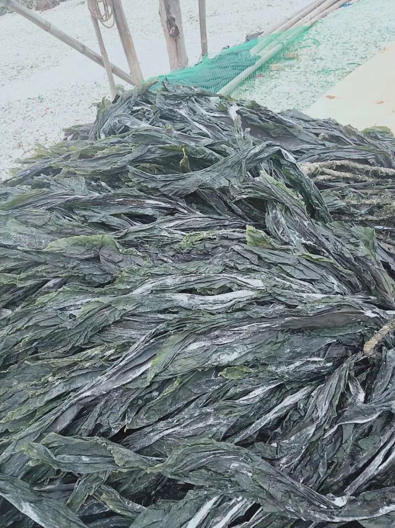 干海带无沙挂菜海带散菜海带海带干海带皮产地直接发货