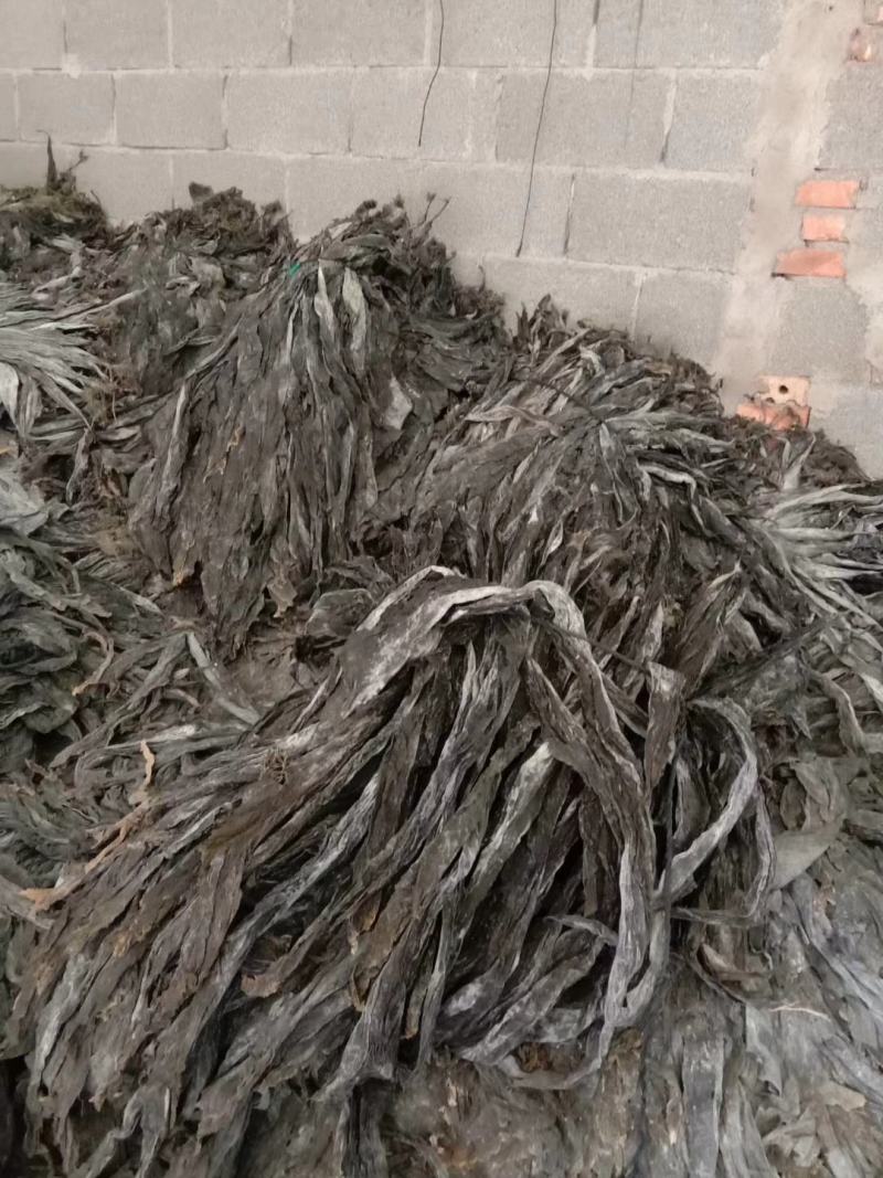 干海带无沙挂菜海带散菜海带海带干海带皮产地直接发货