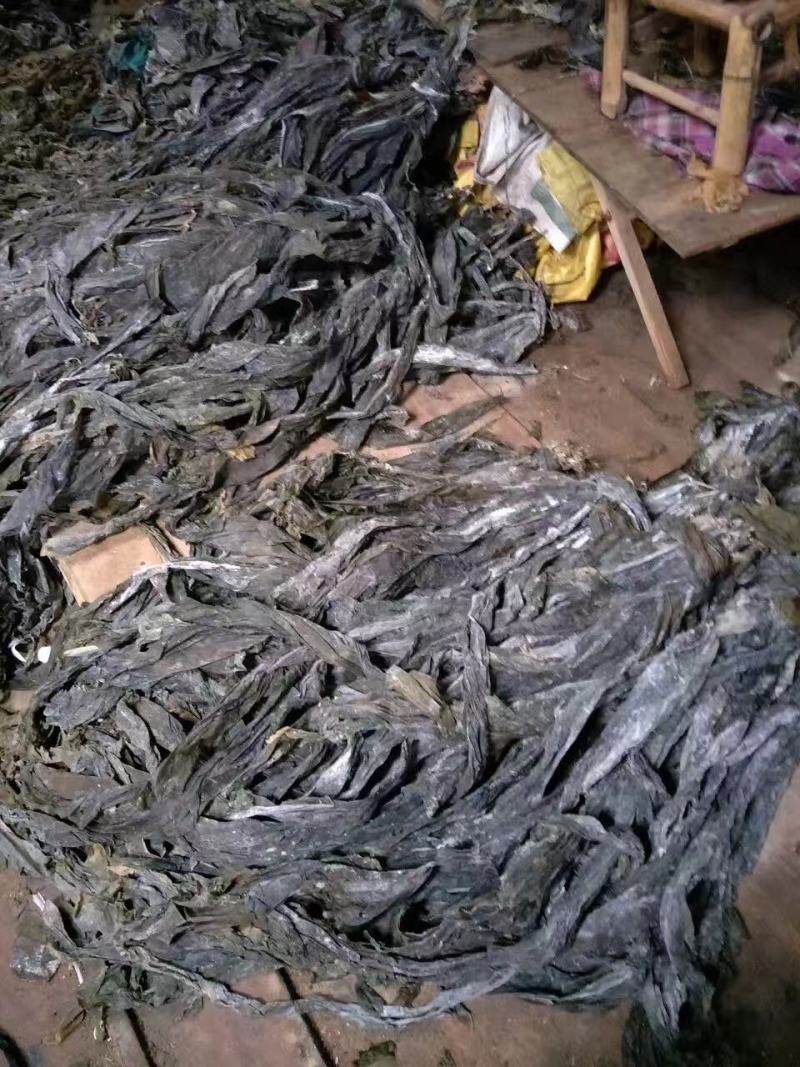 干海带无沙挂菜海带散菜海带海带干海带皮产地直接发货