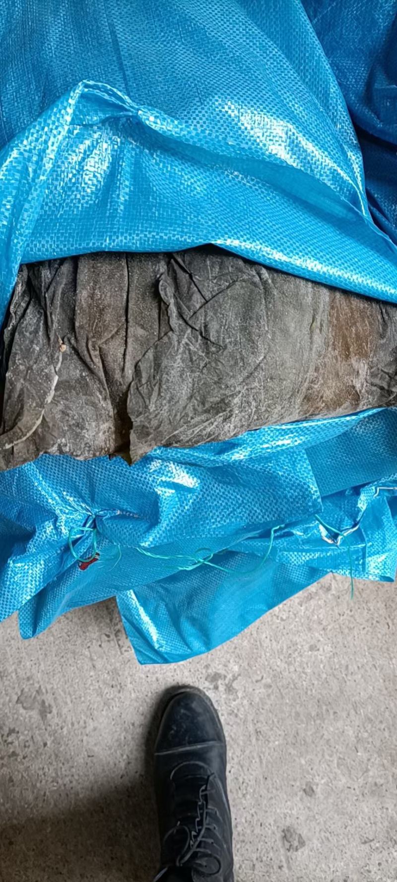 干海带海带海带片短板菜海带长板菜海带无沙海带产地直接发货
