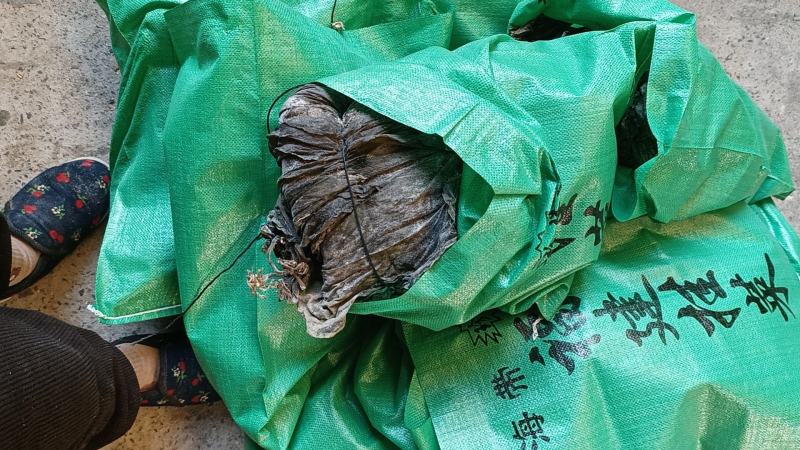 干海带海带海带片短板菜海带长板菜海带无沙海带产地直接发货