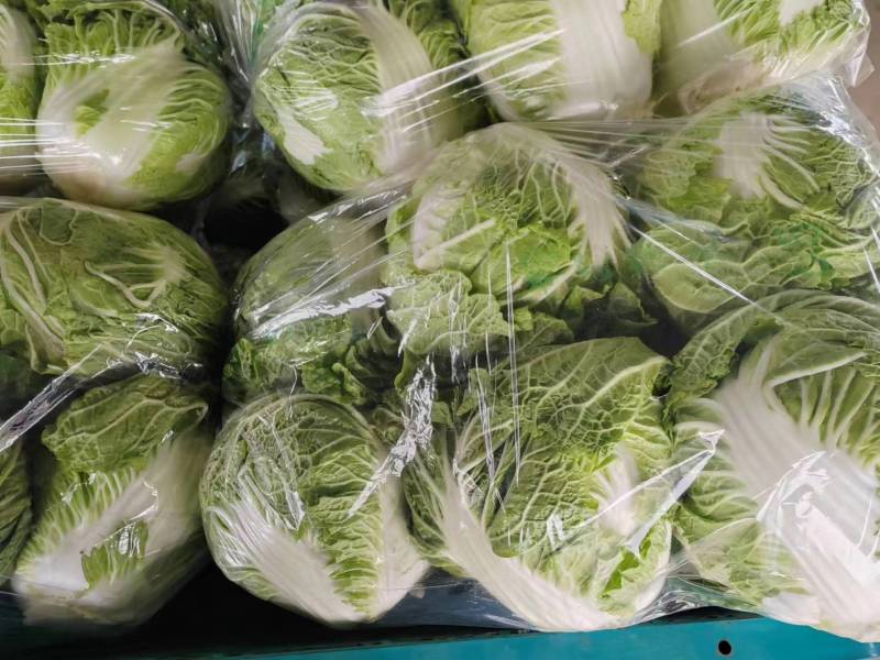 博爱县精品小包心白菜大量上市中产地直供全国发货