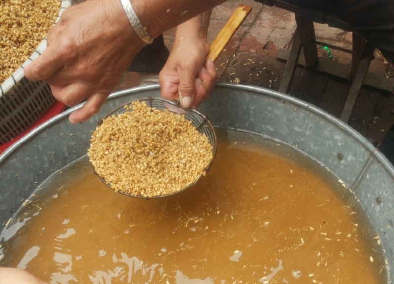 无添加农村自家磨面房小麦粉精选优质小麦口感劲道麦香浓郁