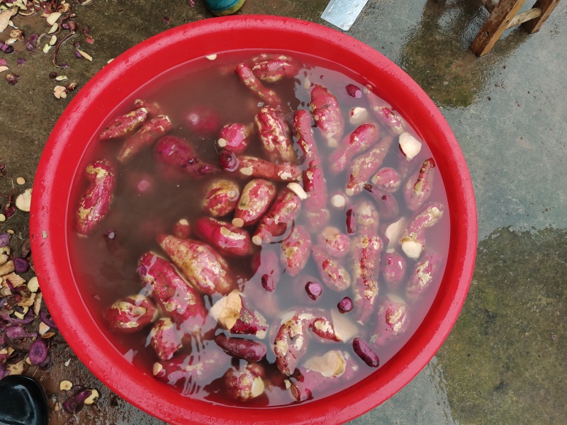 红薯淀粉