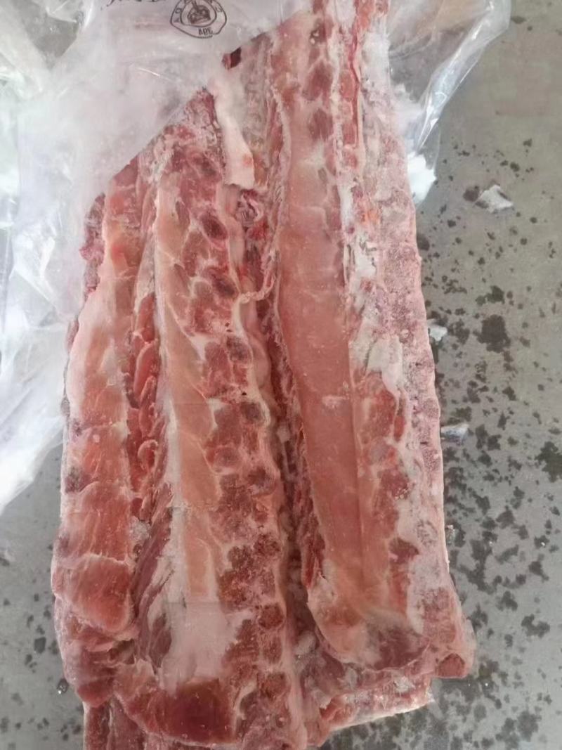 加拿大多肉龙骨