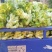 《大量批发》精品儿菜现砍现发新鲜供应量大从优