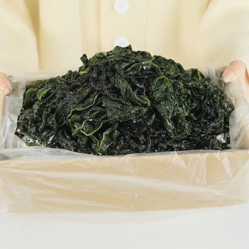 盐渍裙带菜新货一手货源量大从优品质保证欢迎来电咨询