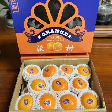 云南沃柑礼盒彩箱黑胶框整车发货