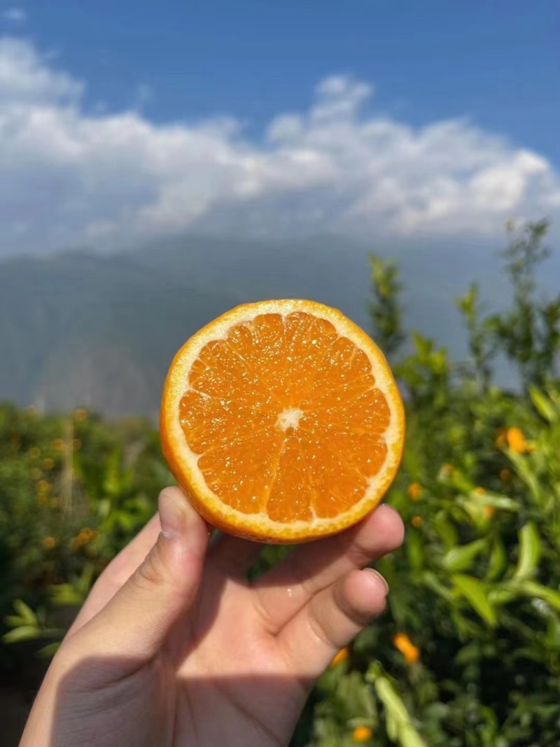 云南沃柑皮薄多汁电商一件代发礼盒彩箱