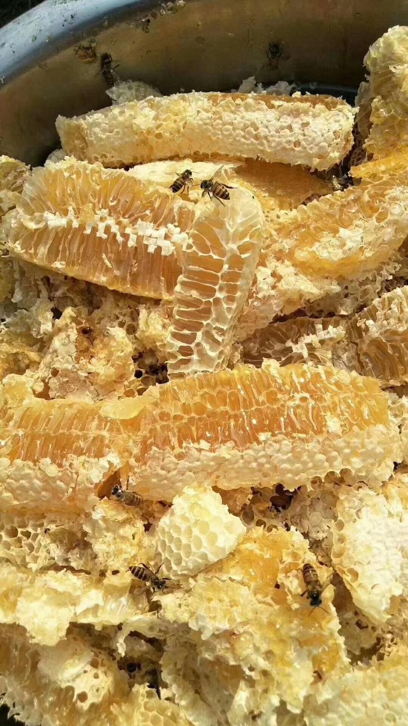 段村南岭土蜂蜜，产地直发，保质保量，欢迎老板选购