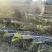 黑皮甘蔗自产自销净果2.4m以上