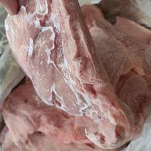 国产肥猪带皮后上肉后五花新货厂家直发品质保证