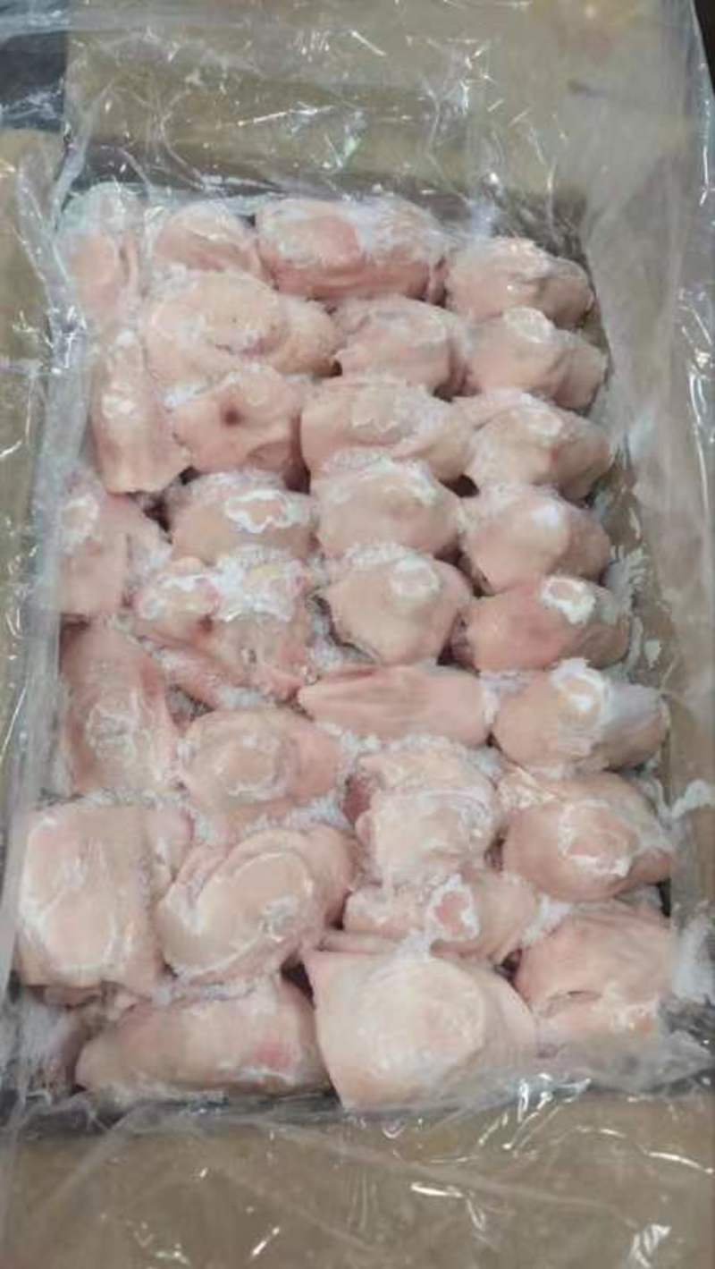 精品国产肥猪猪脚圈厂家一手货源批发品质保证价格美丽！