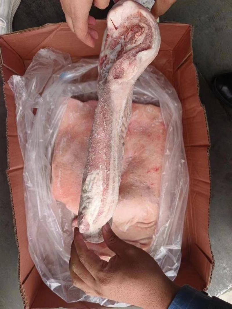 精品国产肥猪五花肉条厂家直发一手货源批发品质保证