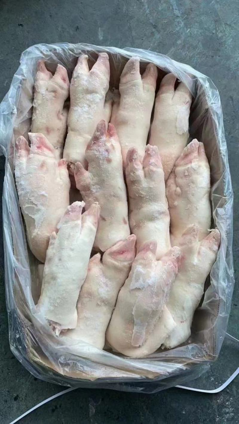 精品纯干带筋母猪蹄新货厂家直发品质保证量大从优