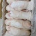 精品纯干带筋母猪蹄新货厂家直发品质保证量大从优
