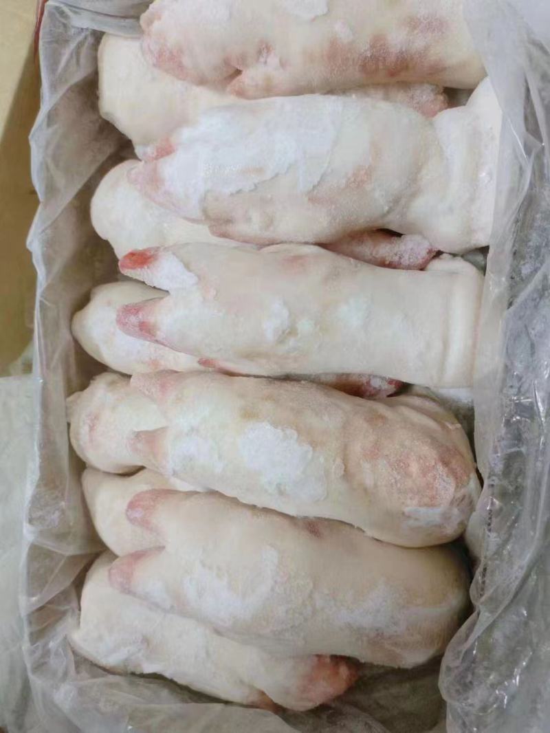 精品纯干带筋母猪蹄新货厂家直发品质保证量大从优