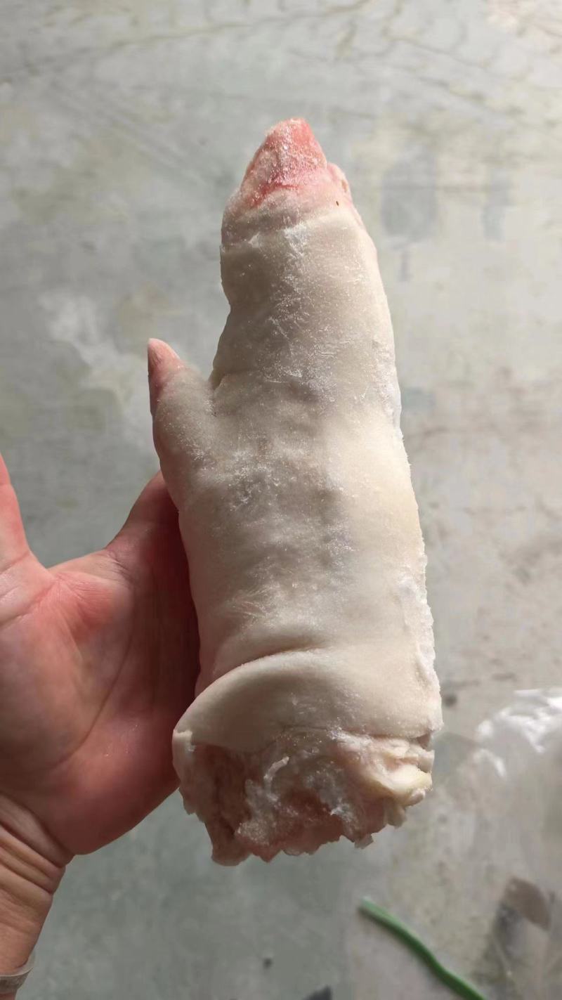 精品纯干带筋母猪蹄新货厂家直发品质保证量大从优
