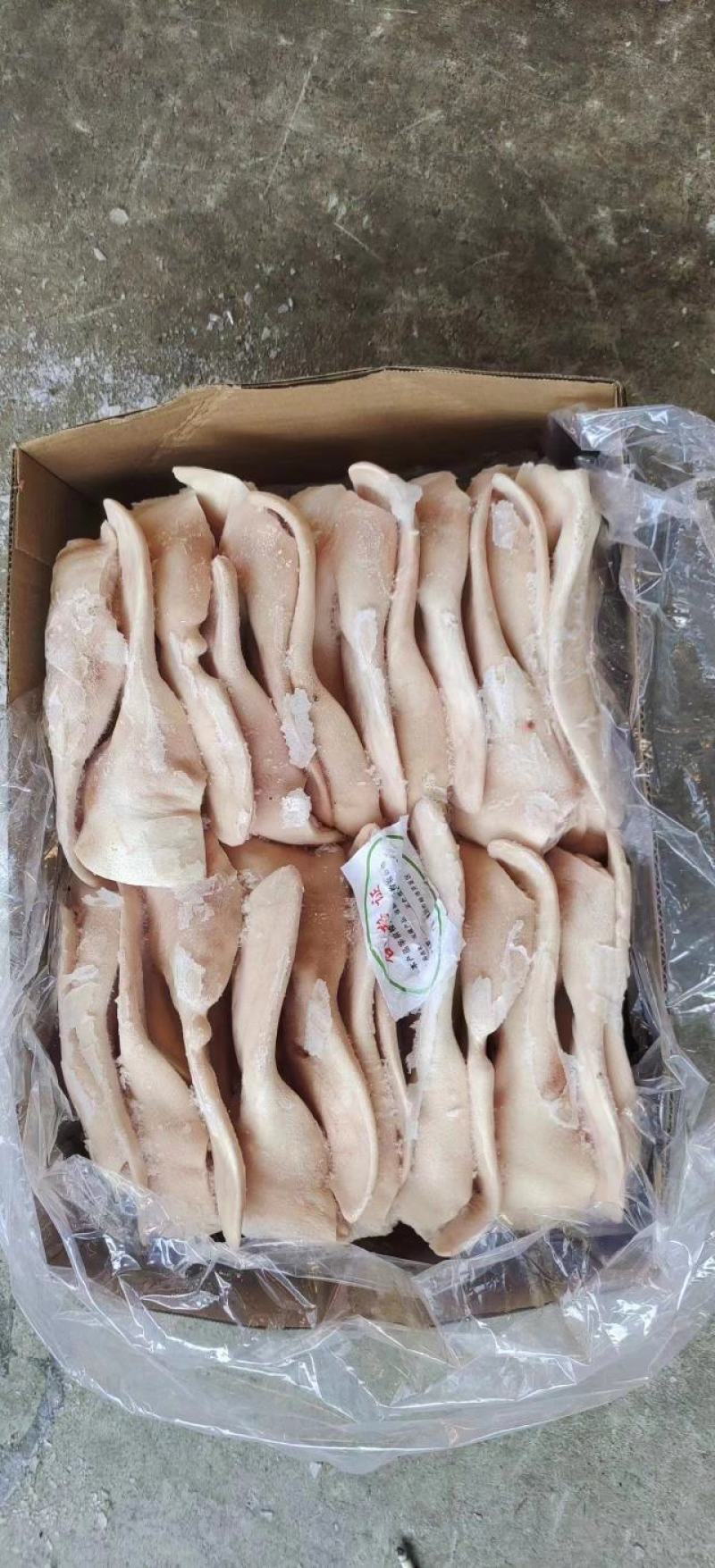 国产肥猪一级耳朵28片左右厂家直发品质保证量大从优