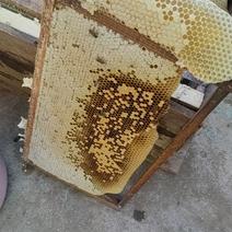 士蜂蜜