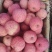精品红将军苹果上市中产地供货质量好价格低欢迎咨询