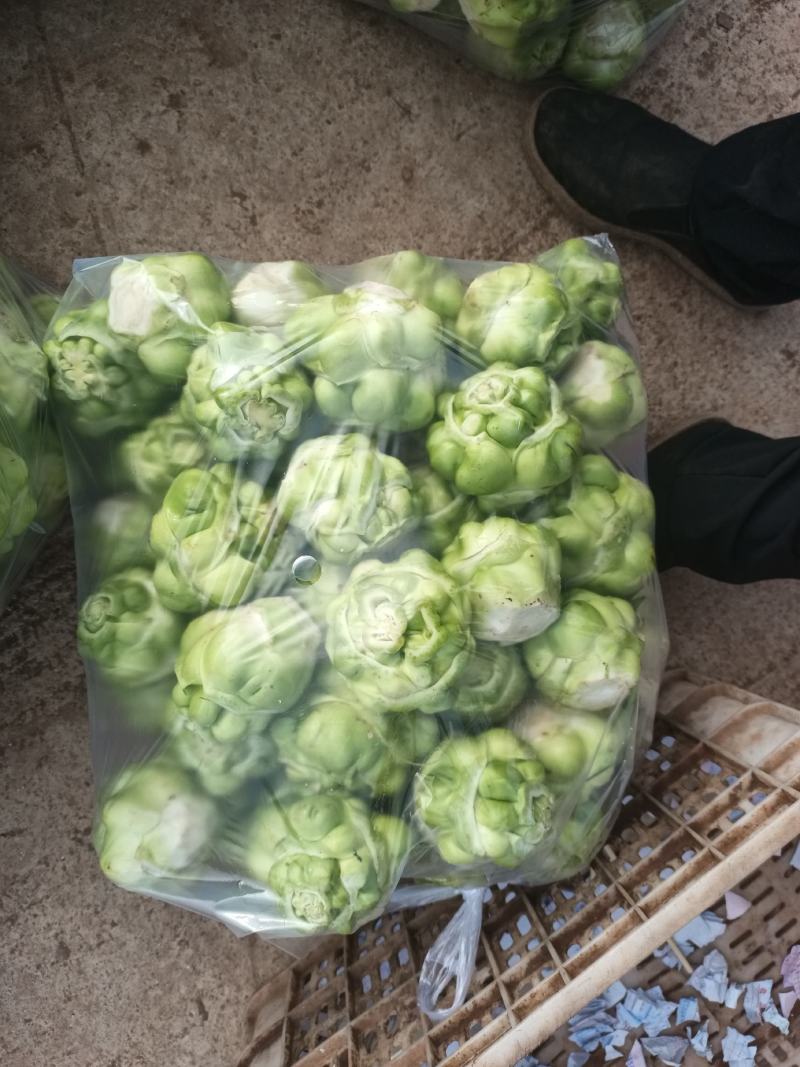 榨菜