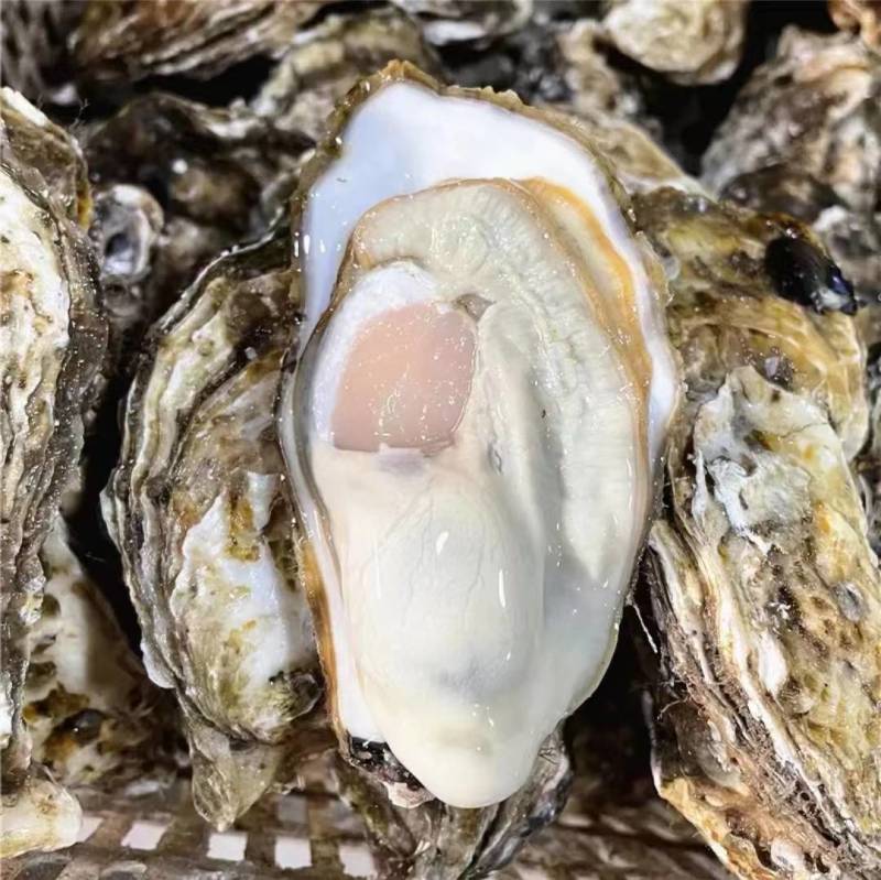 生蚝，净重5斤/箱，一箱只需49元起，全部顺丰包邮到家。