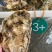 生蚝，净重5斤/箱，一箱只需49元起，全部顺丰包邮到家。