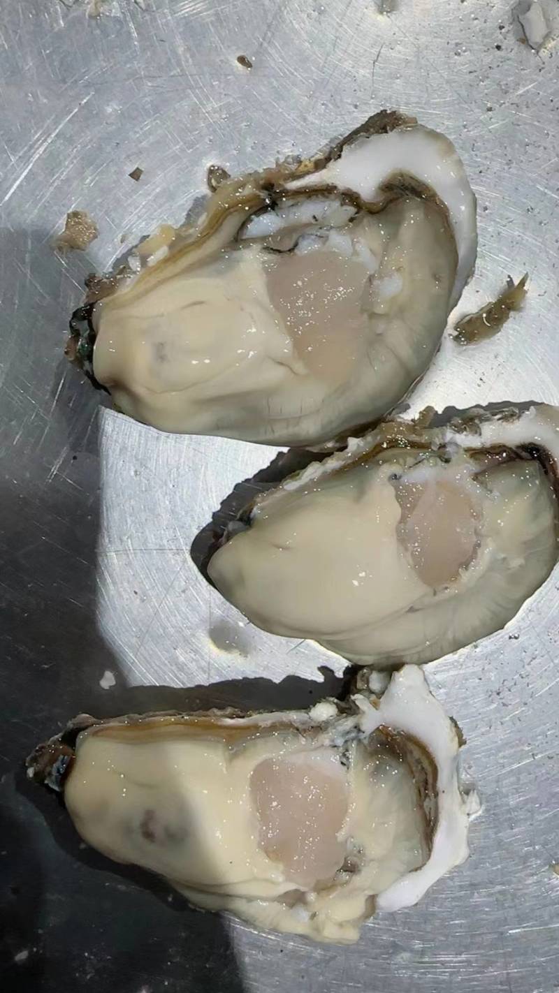 生蚝，净重5斤/箱，一箱只需49元起，全部顺丰包邮到家。