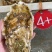 生蚝，净重5斤/箱，一箱只需49元起，全部顺丰包邮到家。