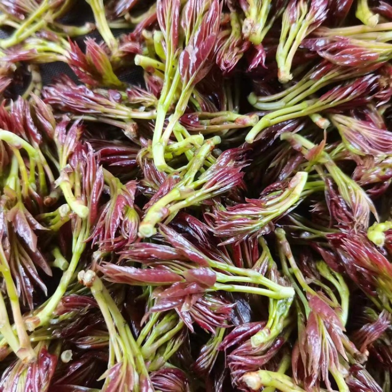 张家界莓茶
