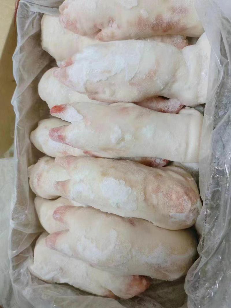 国产精品一级纯干带筋母猪蹄厂家直发一手货源批发品质保