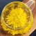 金丝皇菊